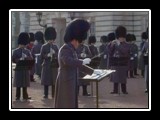 Buckingham Band