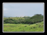 Sand Dunes