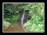 Park Waterfall