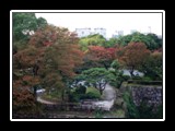 Autumn In Osaka