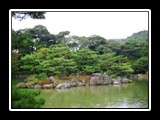 Water Garden 1