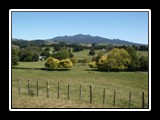 Mt Pirongia