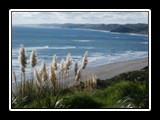 Raglan Beach