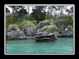 Raglan Pancake Rocks