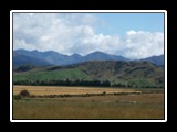 South Island Farmland