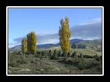 South Island Scenery 2